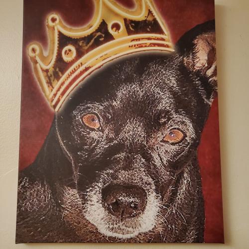 IMG_20211105_150341_337